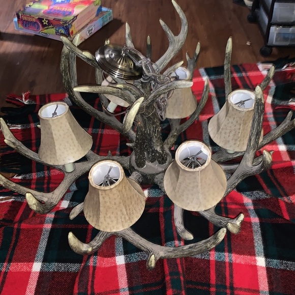 Antler chandelier with 6 lights and shades for each light. - Picture 3 of 3